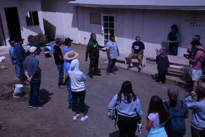 DSC_1017 (Large).JPG